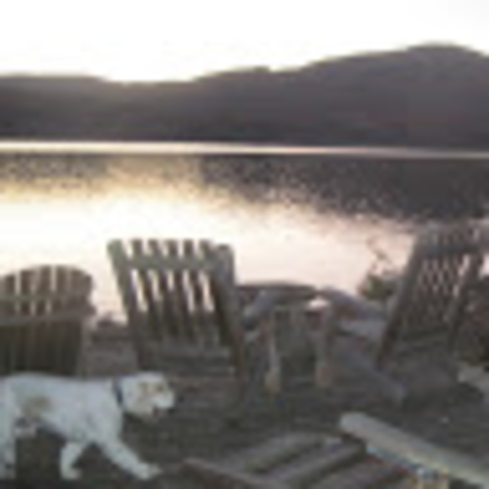 Meet your Posher, Sue